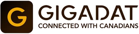 Gigadat Solutions – Online Banking payment solutions that fit .